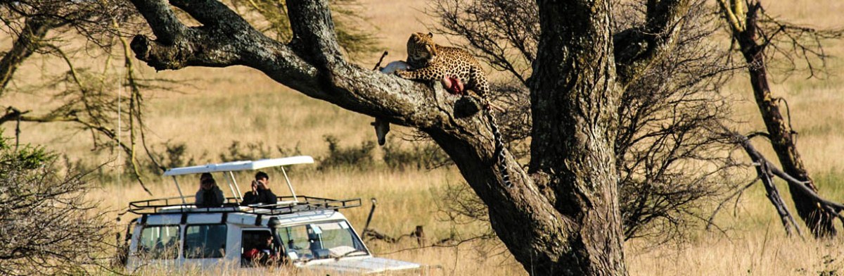 8 Days Tanzania Wildlife Safari